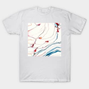 Abstraction 216 T-Shirt